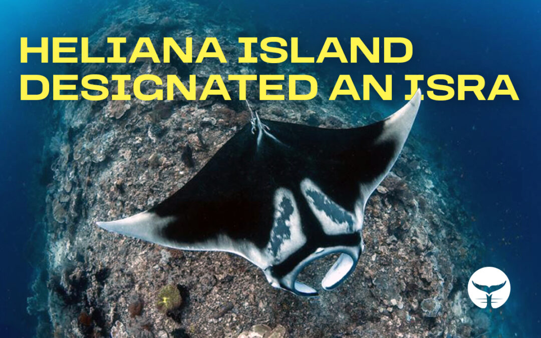 Heliana Island Designated an Important Shark and Ray Area (ISRA)