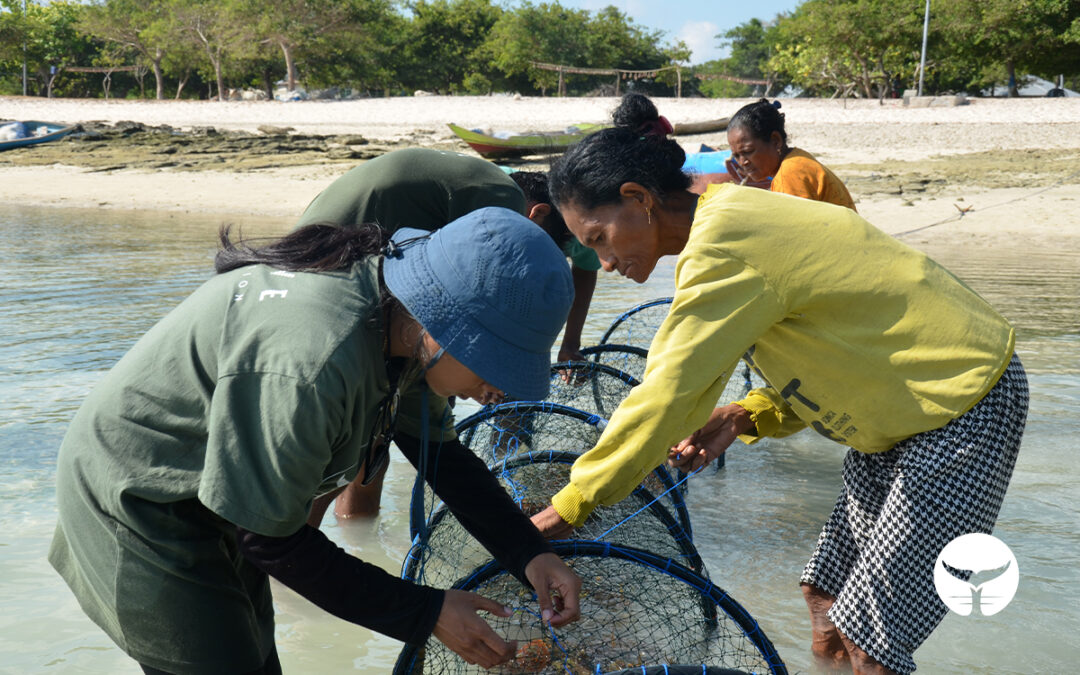 Launching Anacondas